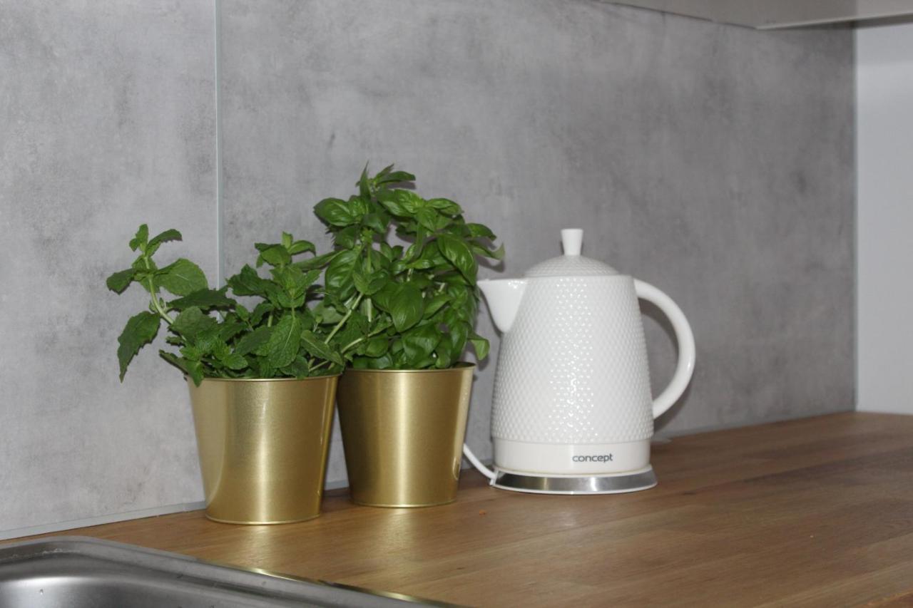 Apartament Diamentowy Stary Toruń Zewnętrze zdjęcie